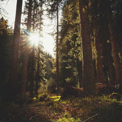 JBEYWgkSIcwAGxyk